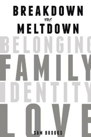 Cover of Breakdown the Meltdown