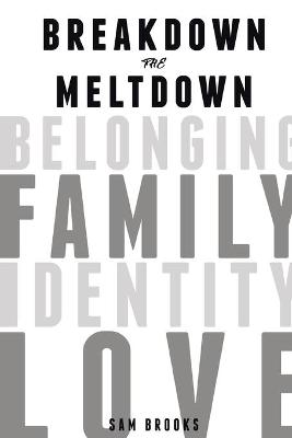 Book cover for Breakdown the Meltdown