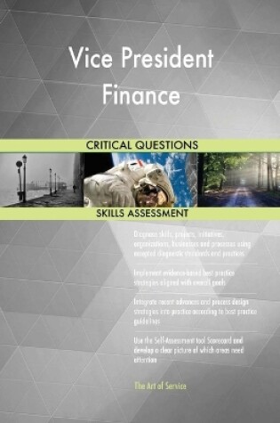 Cover of Vice President Finance Critical Questions Skills Assessment