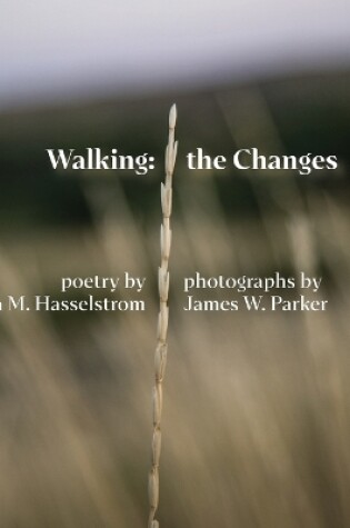 Cover of Walking the Changes