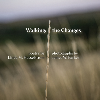 Book cover for Walking the Changes