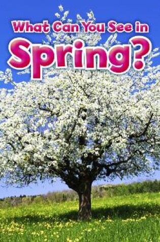 Cover of What Can You See In Spring?