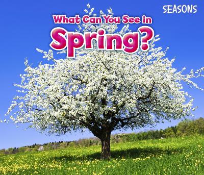 Cover of What Can You See In Spring?