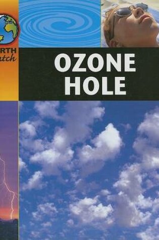 Cover of Ozone Hole