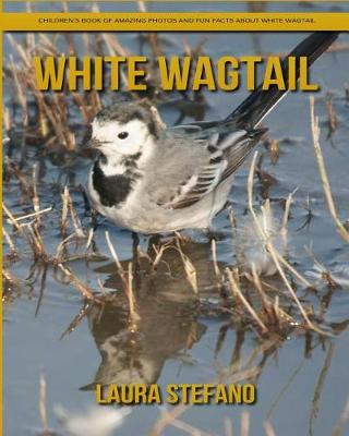 Book cover for White Wagtail