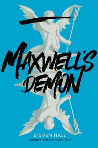 Cover of Maxwell's Demon