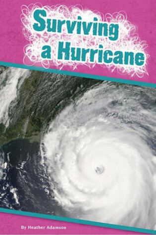 Cover of Surviving a Hurricane