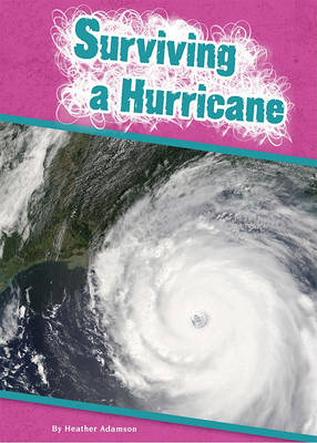 Cover of Surviving a Hurricane