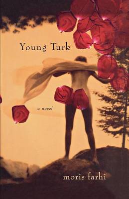 Book cover for Young Turk