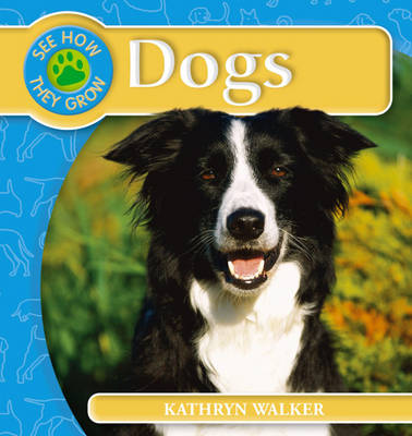 Cover of Dog