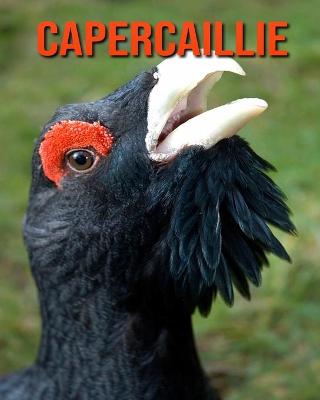 Book cover for Capercaillie