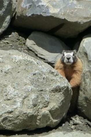 Cover of A Ground Squirrel Between a Rock and a Hard Place