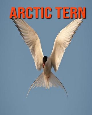 Book cover for Arctic Tern