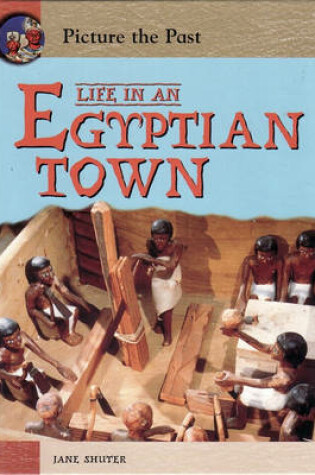 Cover of Picture The Past: Life In An Egyptian Town