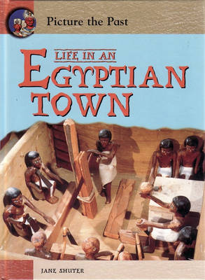 Cover of Picture The Past: Life In An Egyptian Town