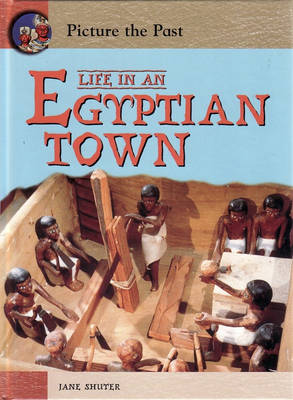 Book cover for Picture The Past: Life In An Egyptian Town