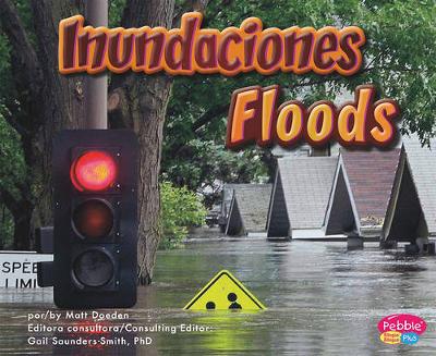 Cover of Inundaciones/Floods