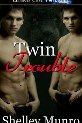 Cover of Twin Trouble