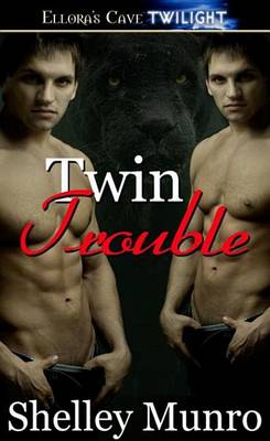 Book cover for Twin Trouble