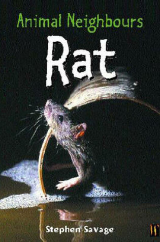 Cover of Animal Neighbours: Animal Neighbours: Rat