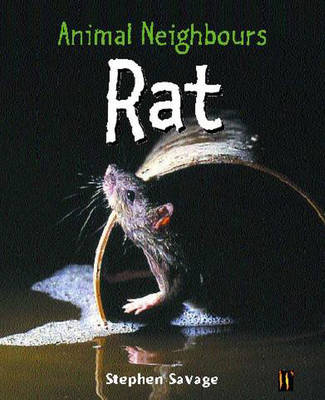 Book cover for Animal Neighbours: Animal Neighbours: Rat