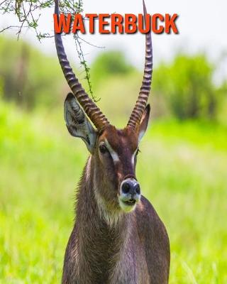 Book cover for Waterbuck