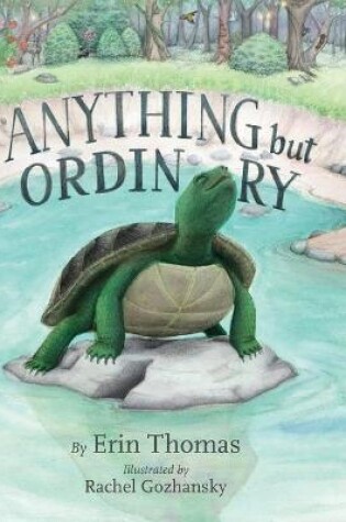 Cover of Anything But Ordinary