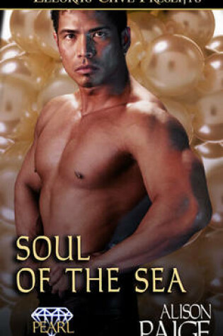 Cover of Soul of the Sea