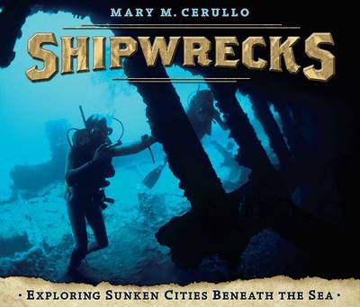 Book cover for Shipwrecks