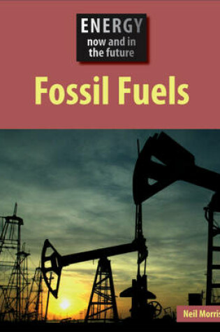 Cover of Fossil Fuels