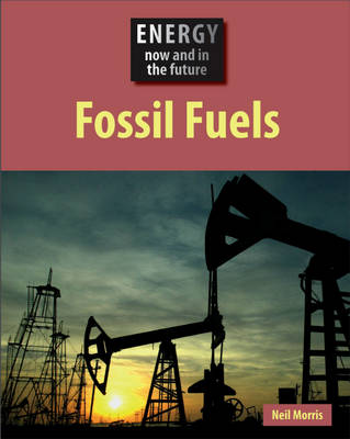 Book cover for Fossil Fuels