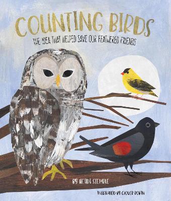 Counting Birds by Heidi E.Y. Stemple