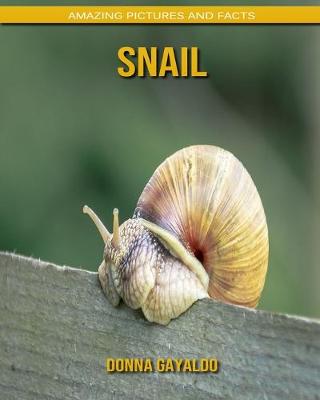 Book cover for Snail