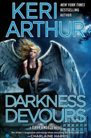 Cover of Darkness Devours