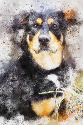 Book cover for A Rottweiler Dog Illustration Journal