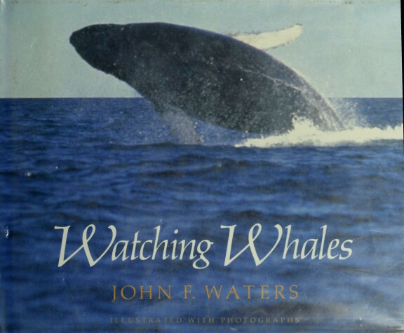 Book cover for Watching Whales