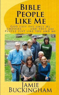 Book cover for Bible People Like Me