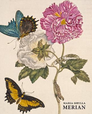 Book cover for Maria Sibylla Merian