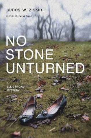 Cover of No Stone Unturned