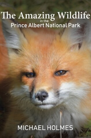 Cover of The Amazing Wildlife in the Prince Albert National Park