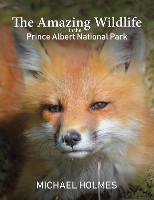 Book cover for The Amazing Wildlife in the Prince Albert National Park