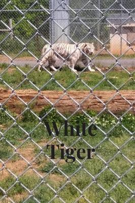 Book cover for White Tiger