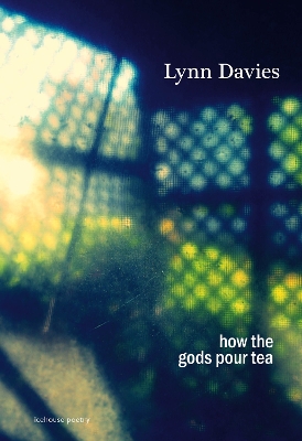 Book cover for how the gods pour tea