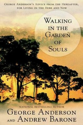 Cover of Walking in the Garden of Souls