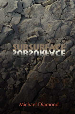 Cover of Subsurface