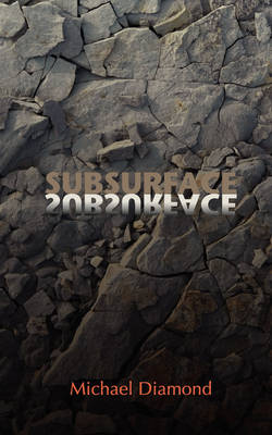 Book cover for Subsurface