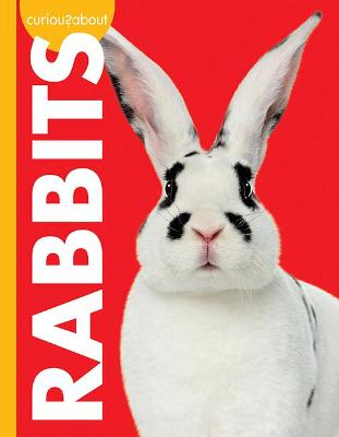 Book cover for Curious about Rabbits