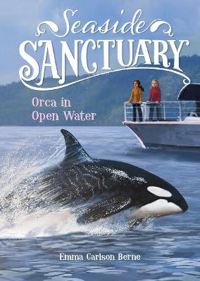 Book cover for Orca in Open Water