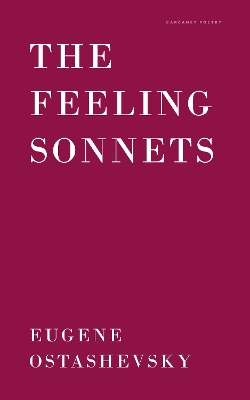 Book cover for The Feeling Sonnets