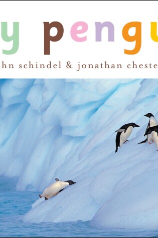 Cover of Busy Penguins